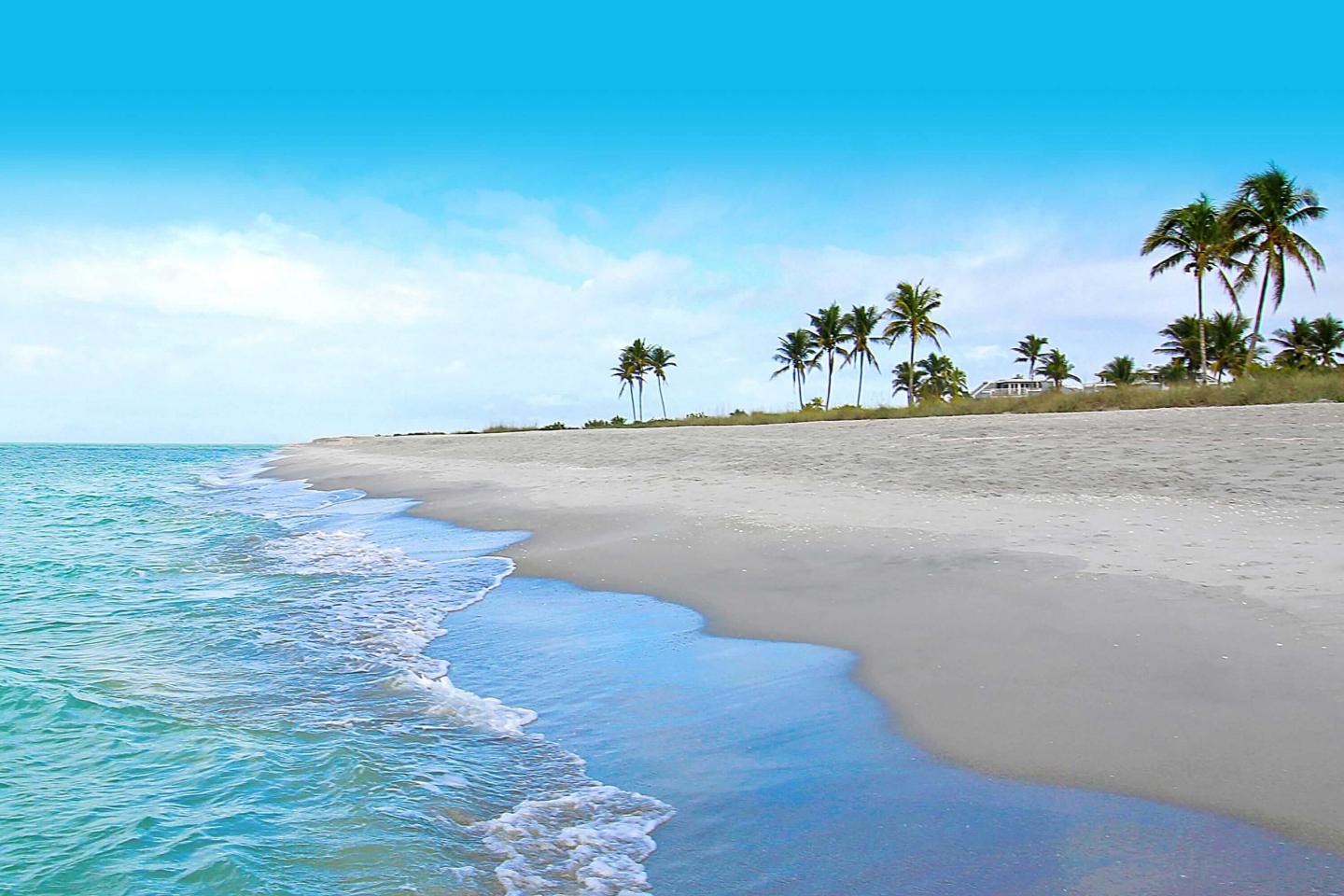 Nonstop Flights to Tampa, FL from Wilmington Airport (ILG)